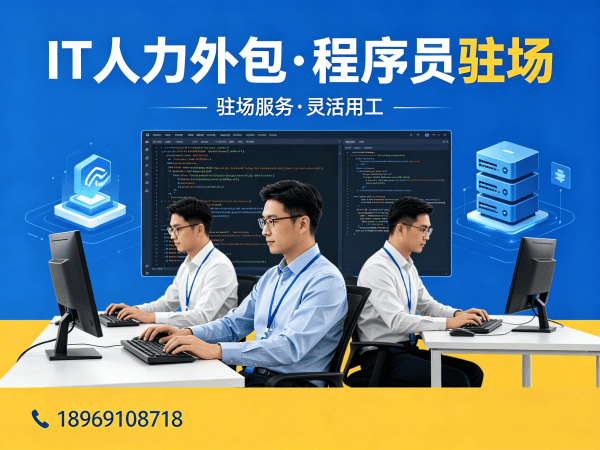 佛山Go开发程序员外包服务绩效考核全解析 | 专业IT人力外包解决方案